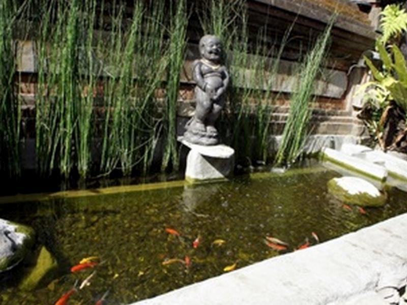 Nyoman Badri Homestay Ουμπούντ Εξωτερικό φωτογραφία